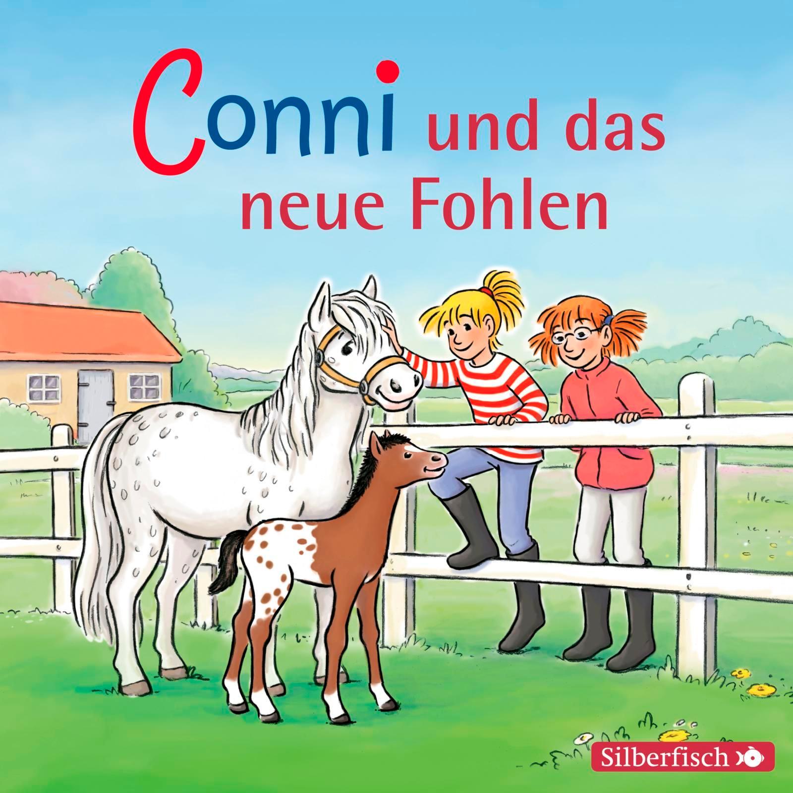 Conni und das neue Fohlen