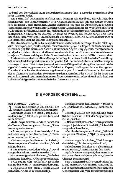 Die Bibel (blau)