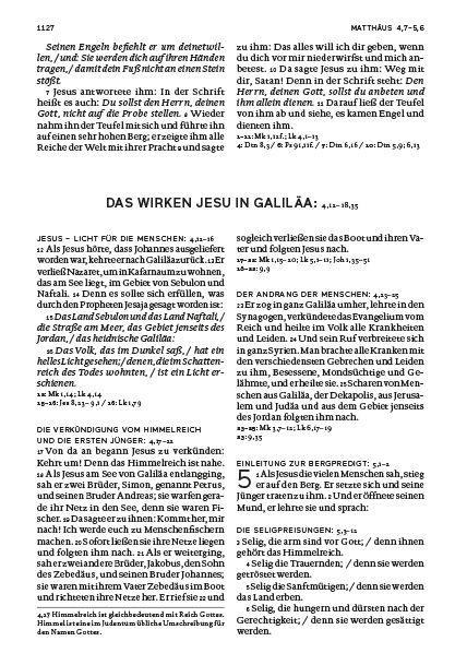 Die Bibel (blau)