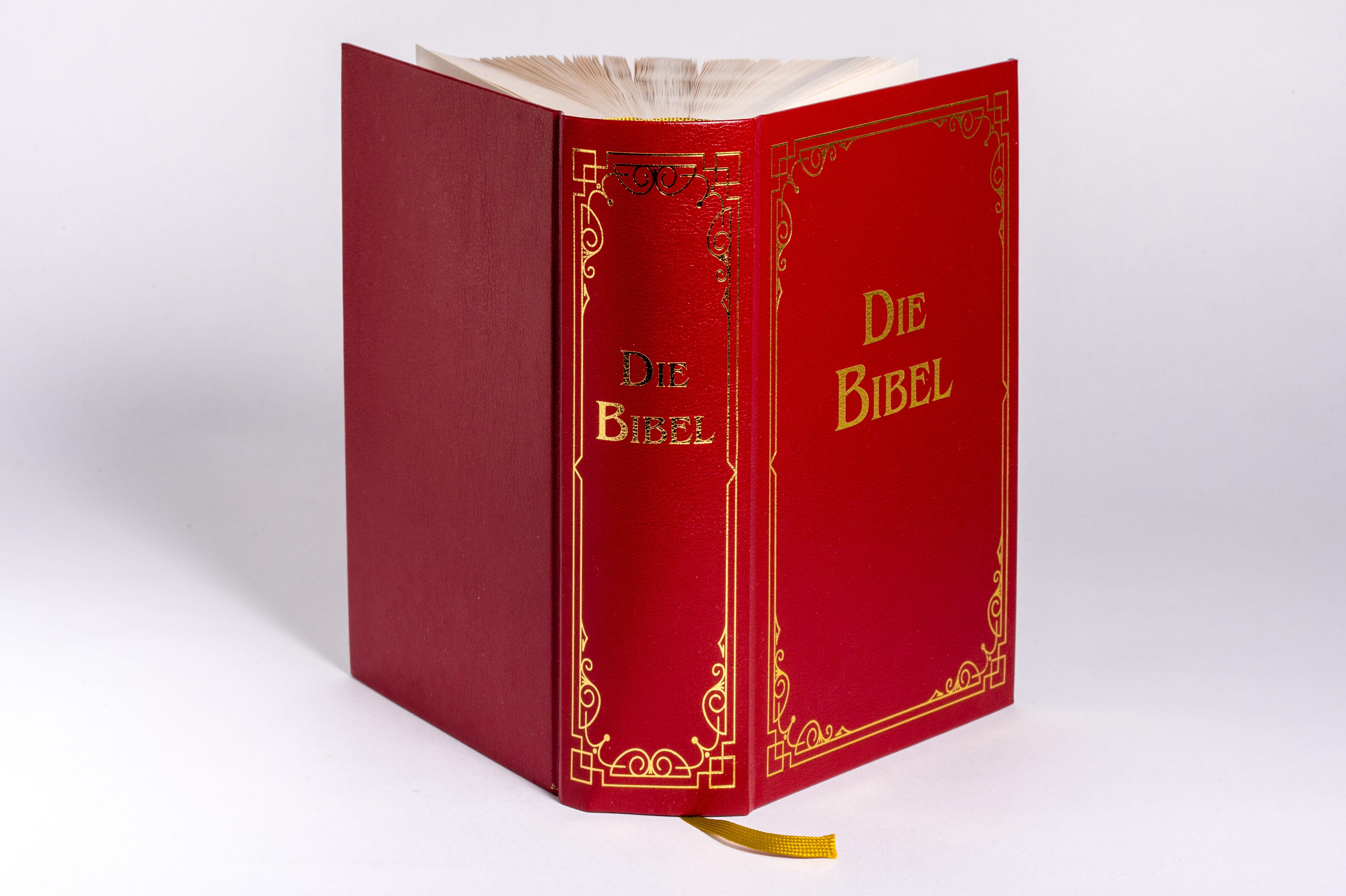 Die Bibel (Geschenkausgabe, Cabra-Leder)