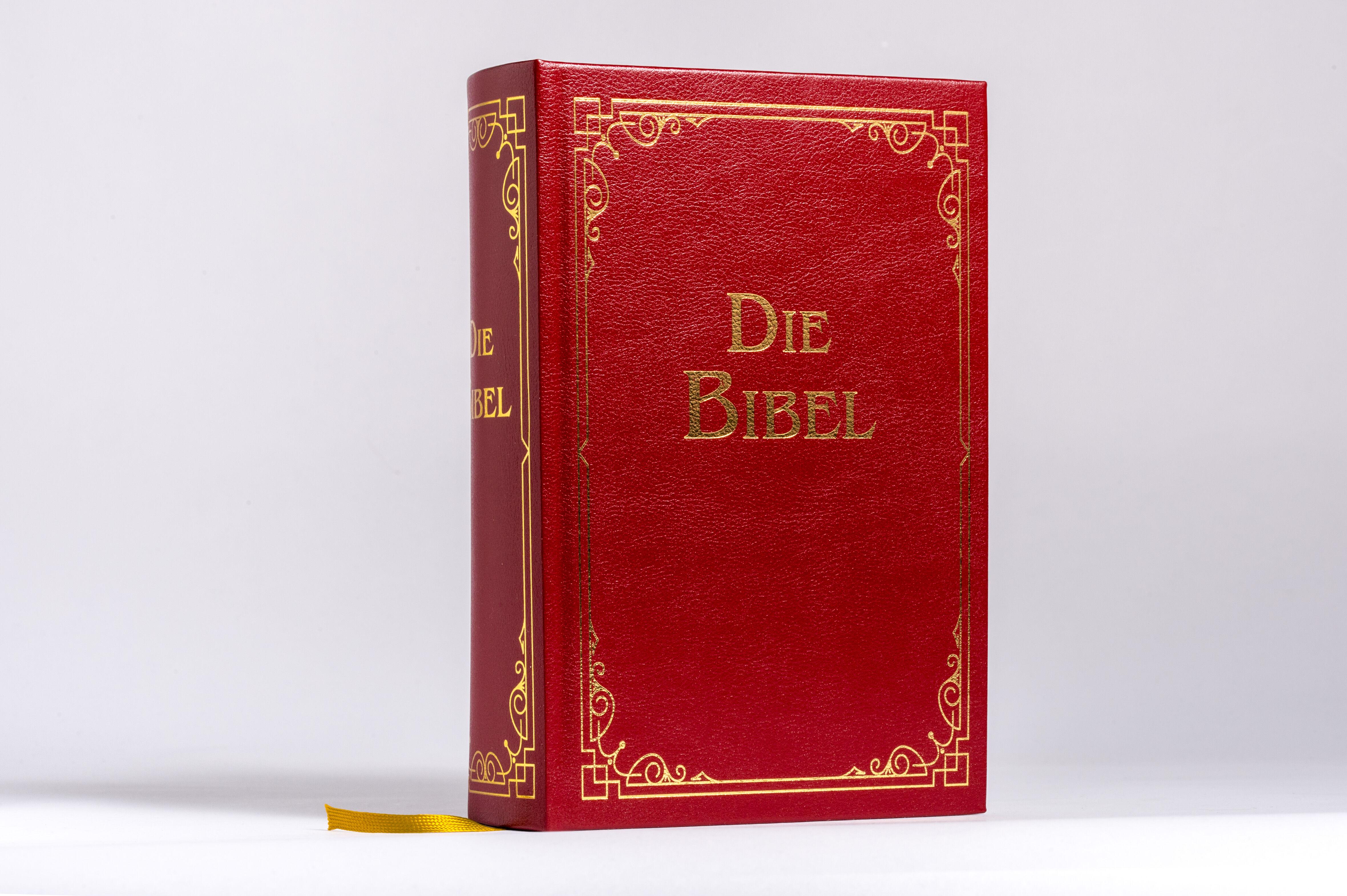 Die Bibel (Geschenkausgabe, Cabra-Leder)