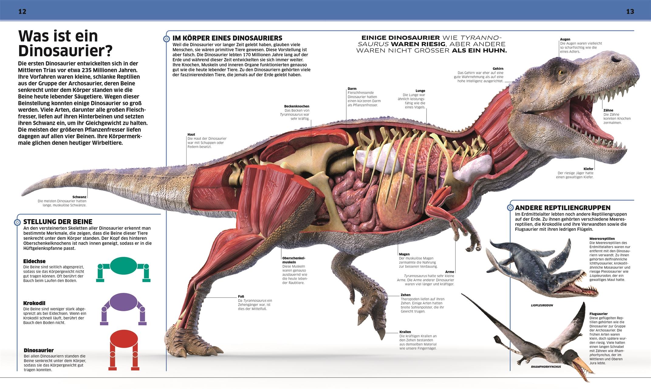 DK Wissen. Dinosaurier