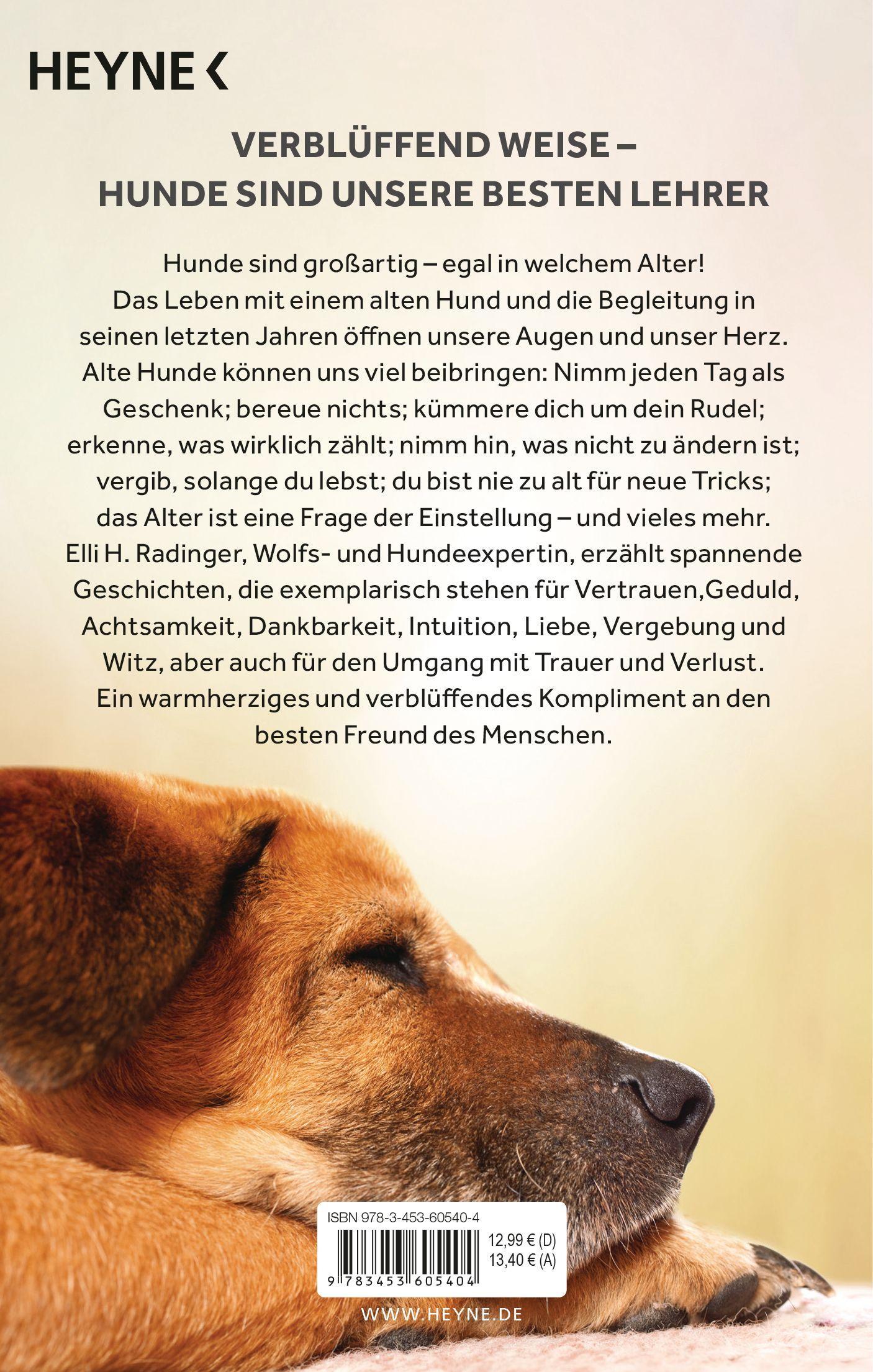 Die Weisheit alter Hunde