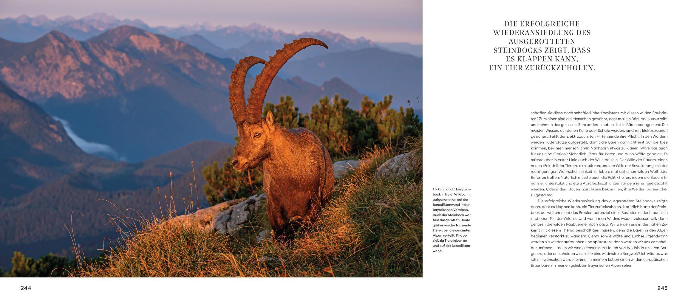 Naturwunder Bayerische Alpen