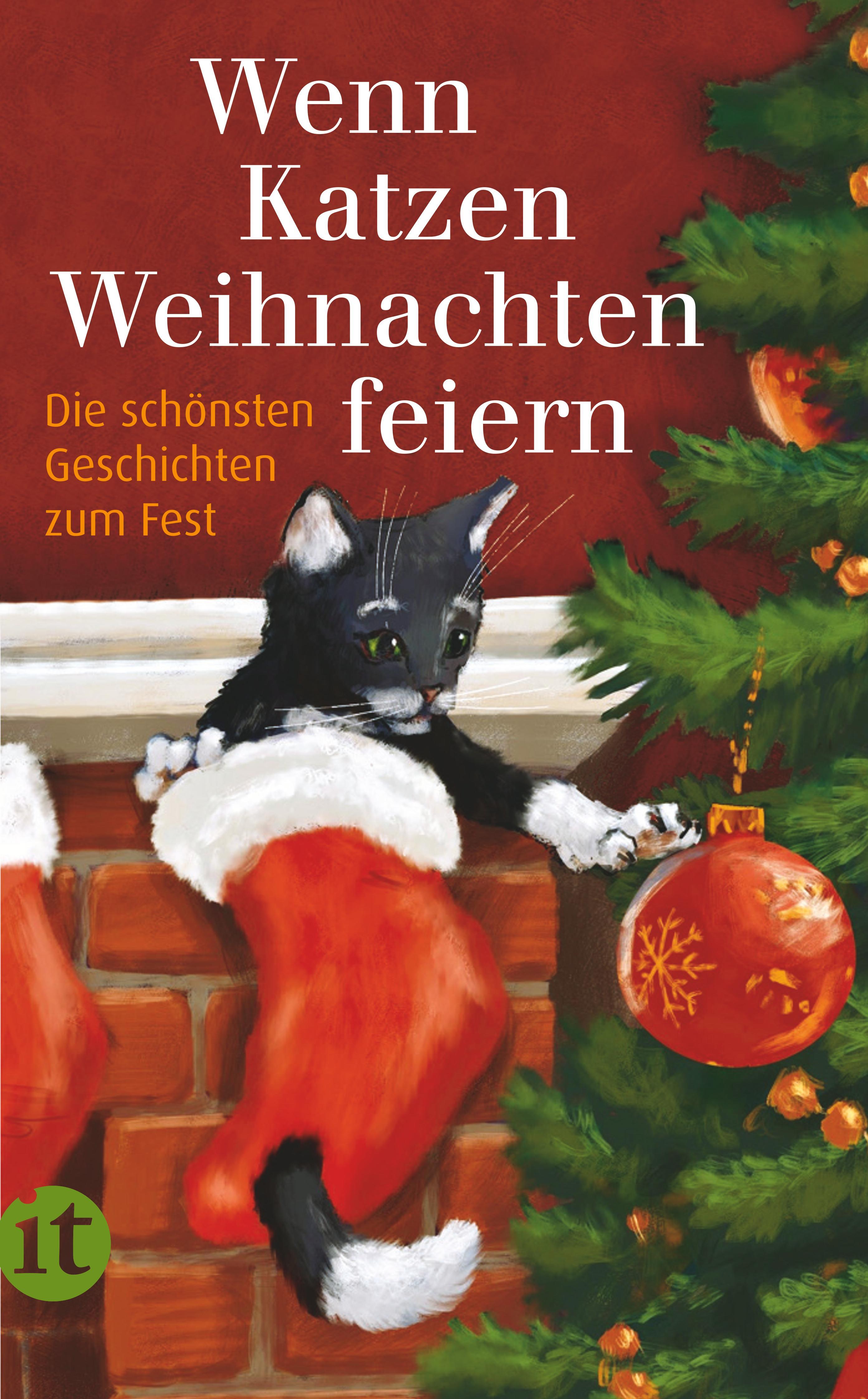 Wenn Katzen Weihnachten feiern