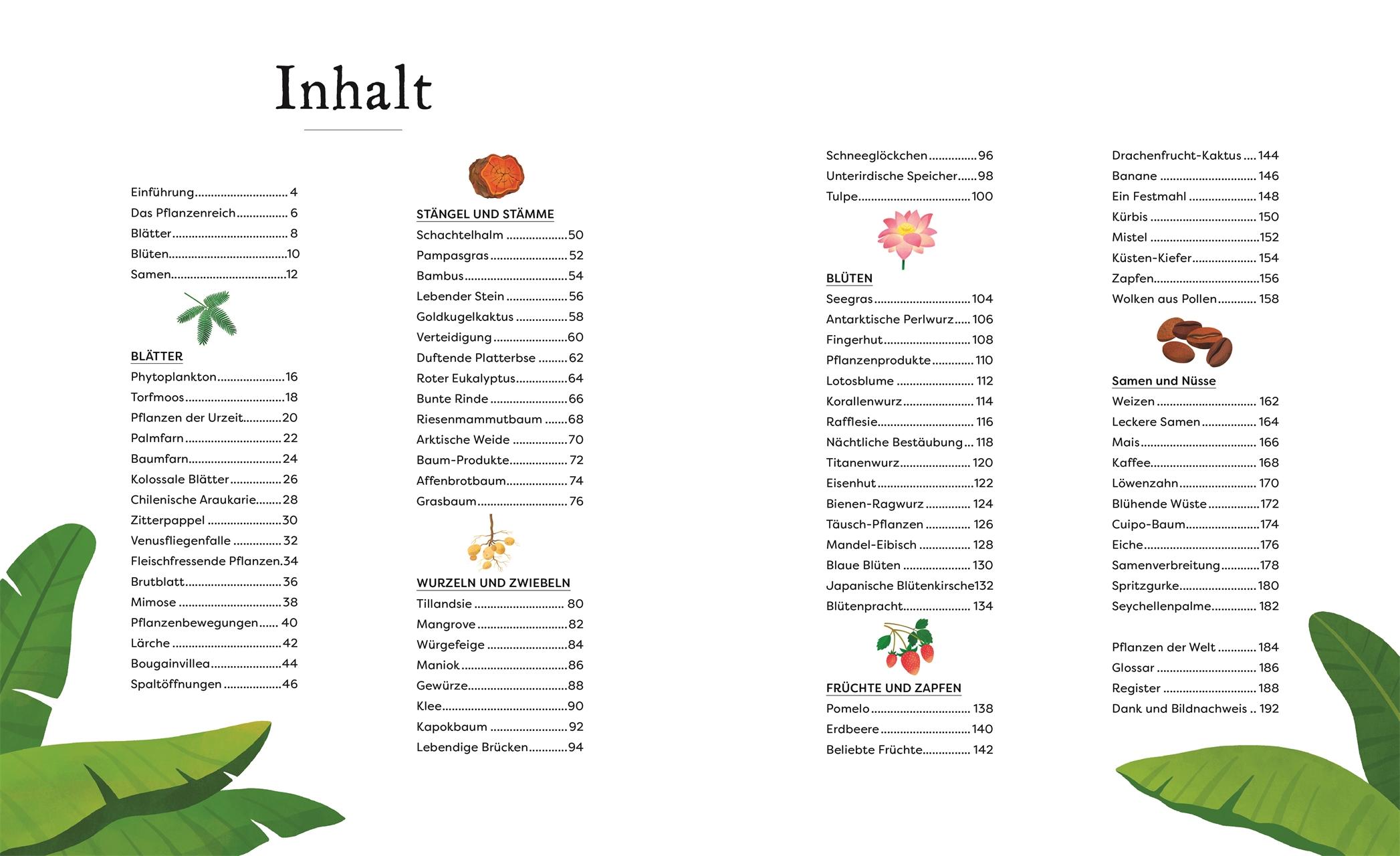 Große und kleine Schätze der Natur. Pflanzen