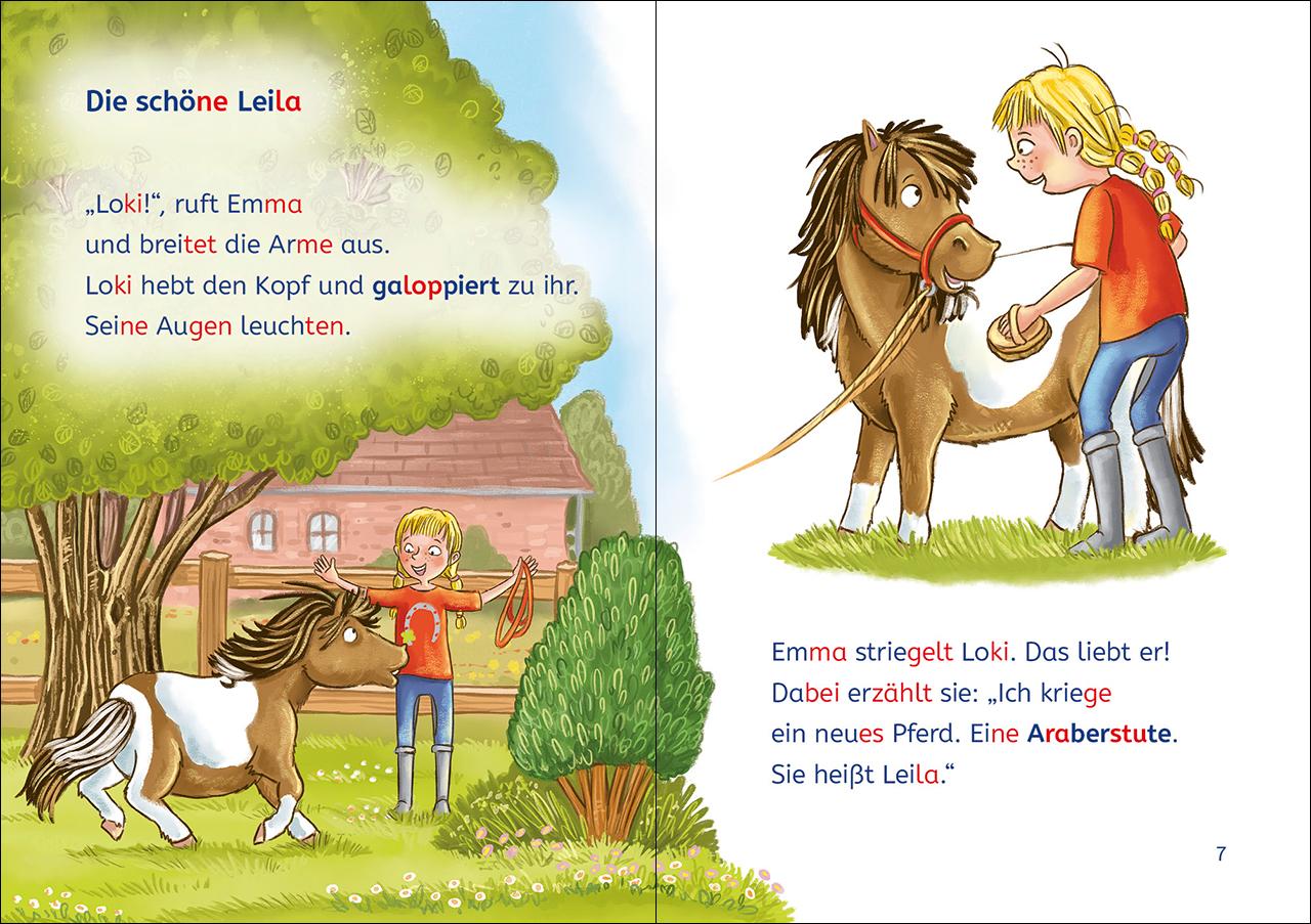 Leselöwen 1. Klasse - Eine ponystarke Freundschaft