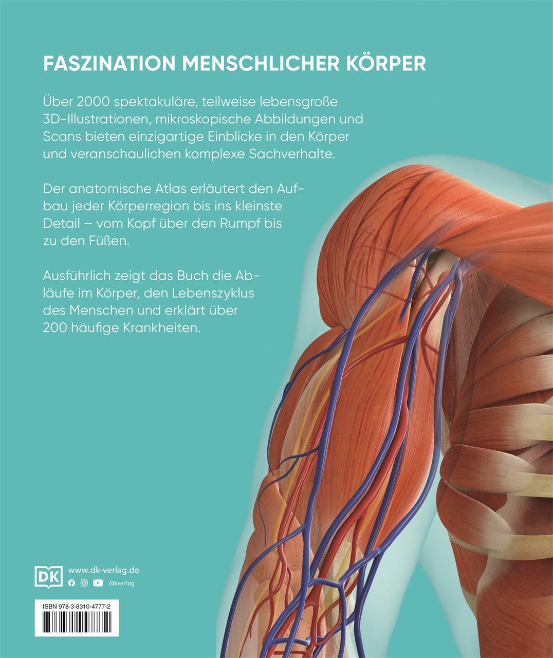 Anatomie und Physiologie