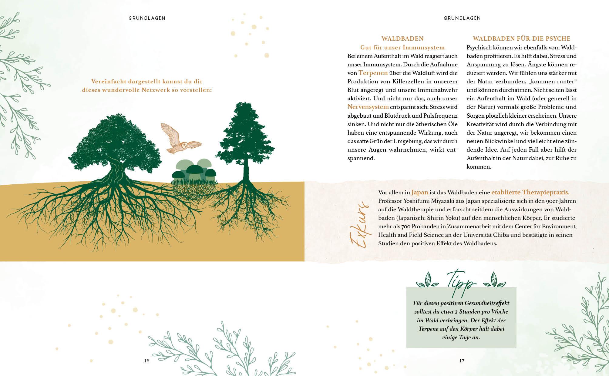 Zaubernuss und Waldmagie - Naturmomente für deine Seele