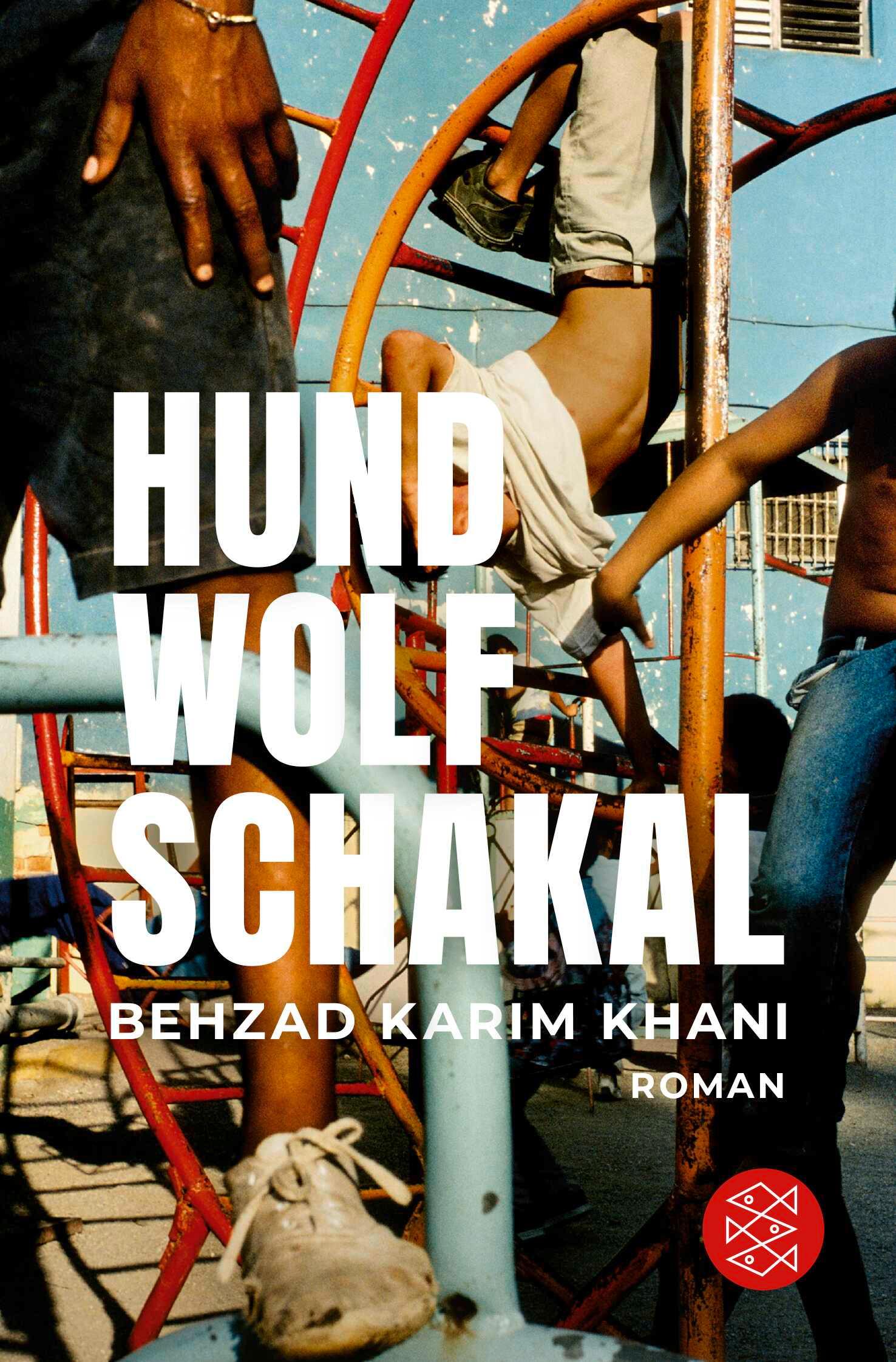 Hund, Wolf, Schakal