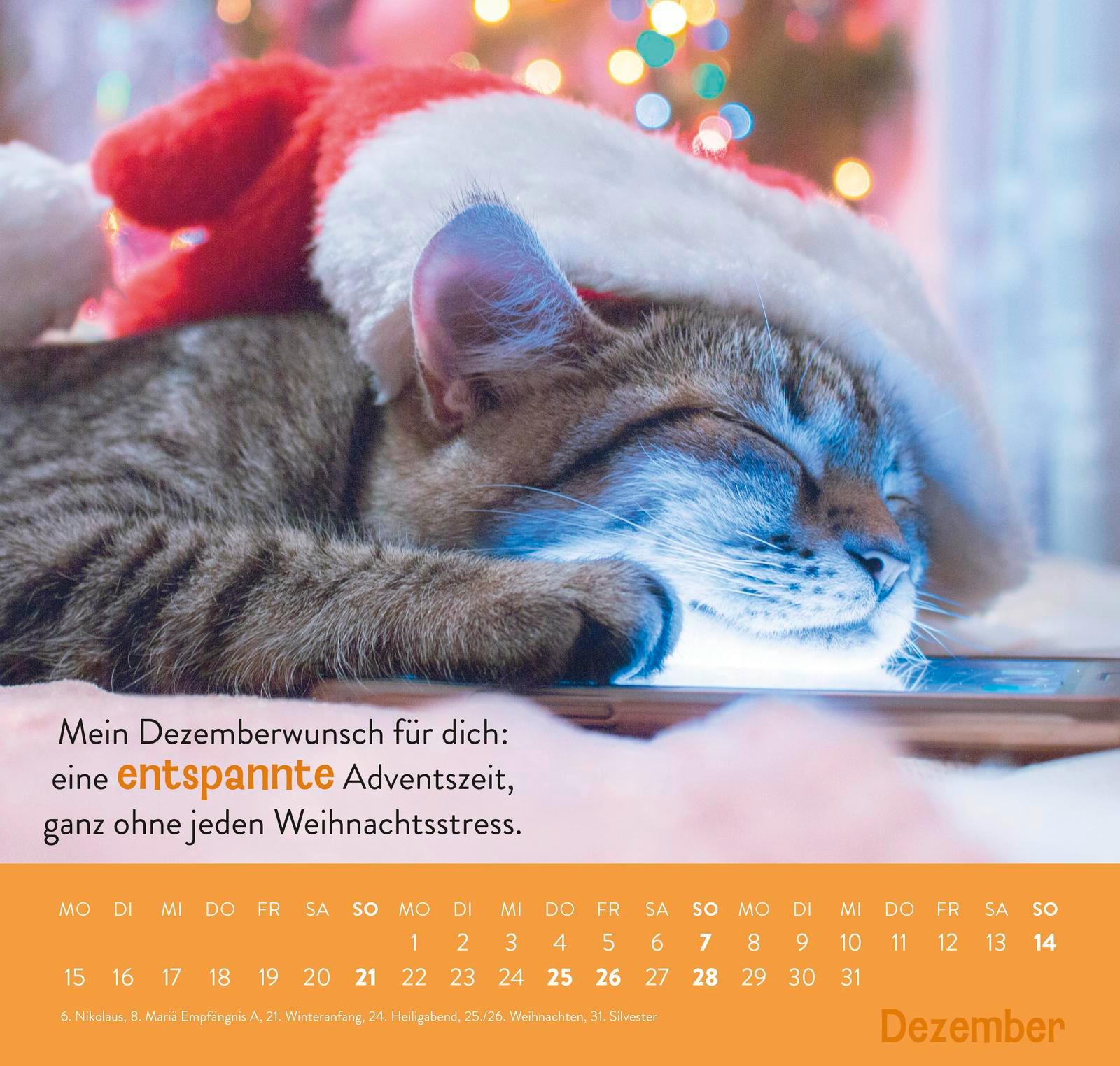 Wandkalender 2025: Einfach mal abhängen