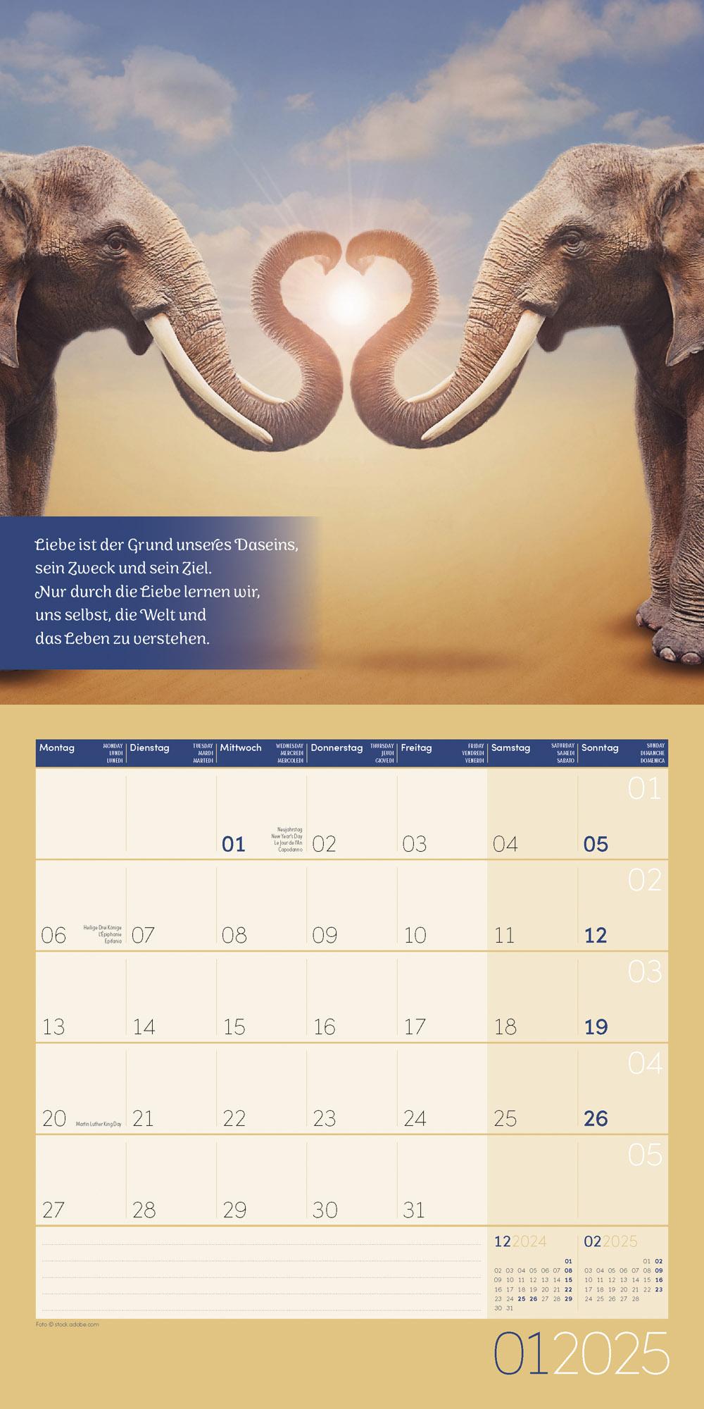 Alles wird gut! Kalender 2025 - 30x30