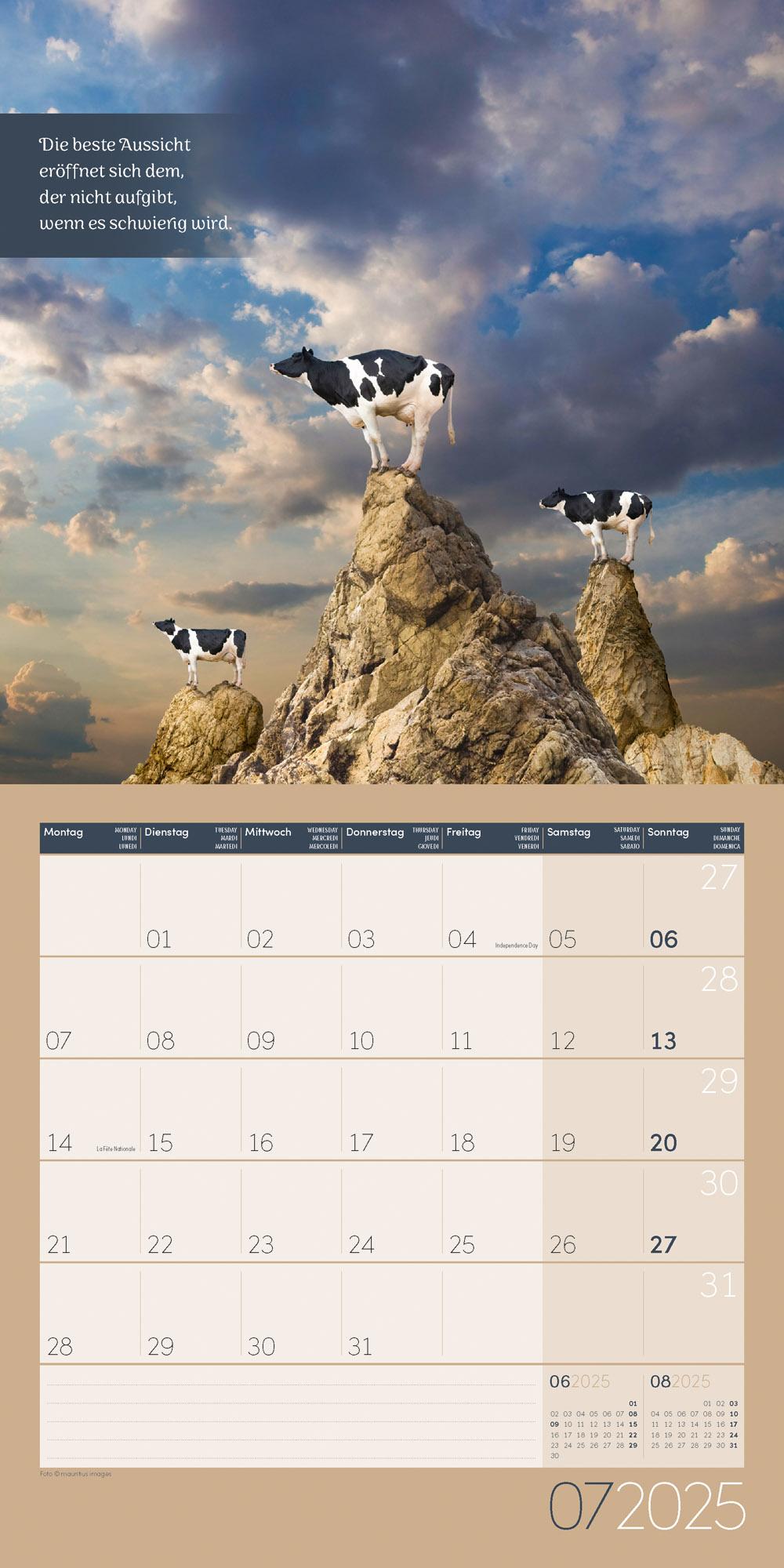 Alles wird gut! Kalender 2025 - 30x30