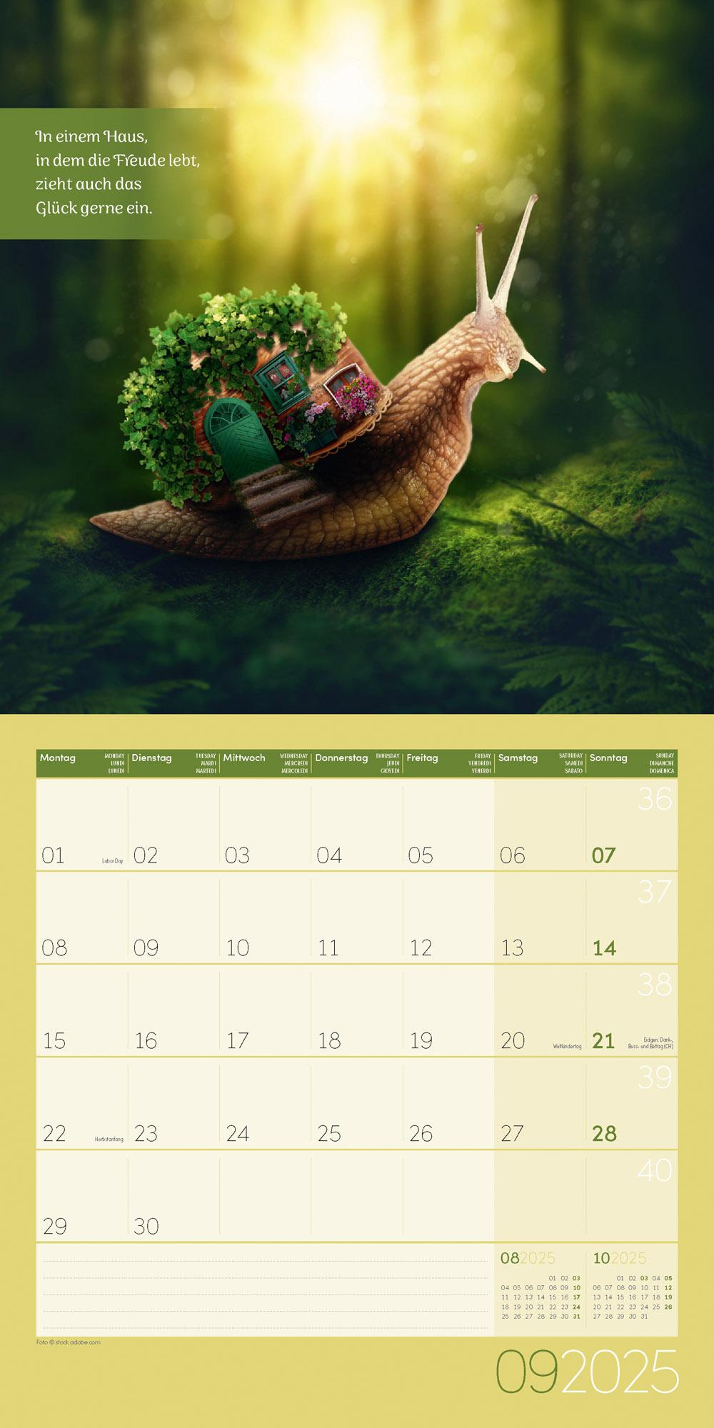 Alles wird gut! Kalender 2025 - 30x30