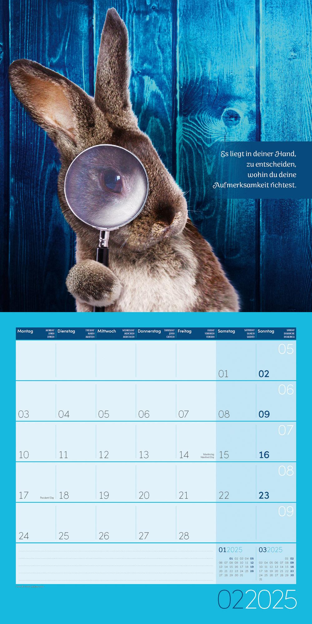 Alles wird gut! Kalender 2025 - 30x30