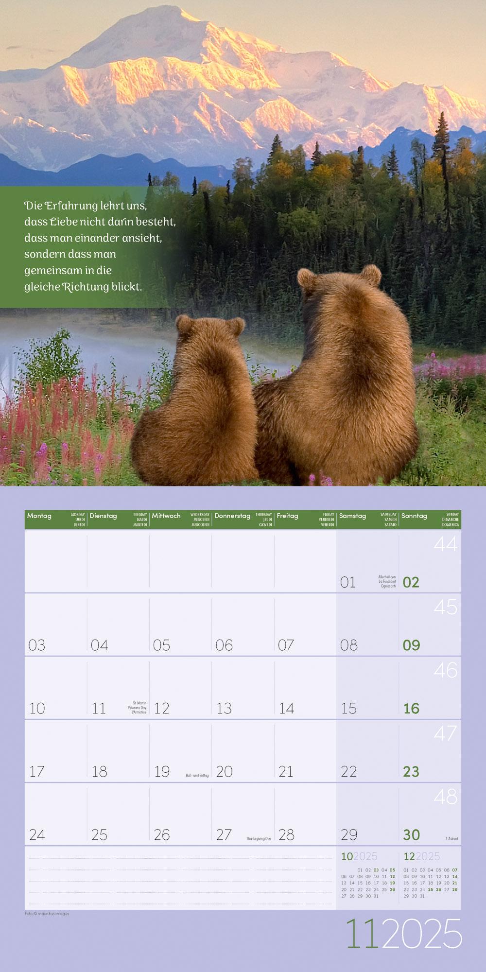 Alles wird gut! Kalender 2025 - 30x30