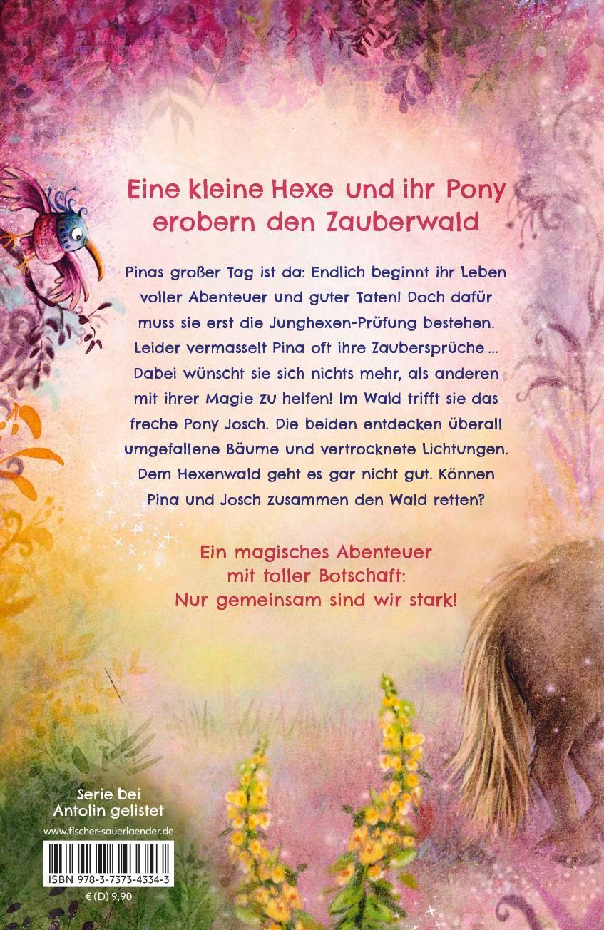 Pina Ponyhexe - Eine magische Freundschaft