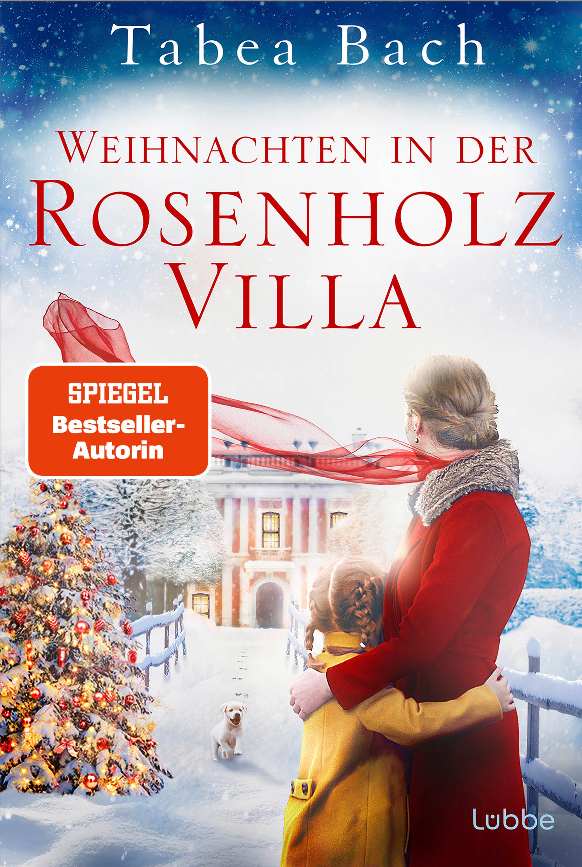 Weihnachten in der Rosenholzvilla