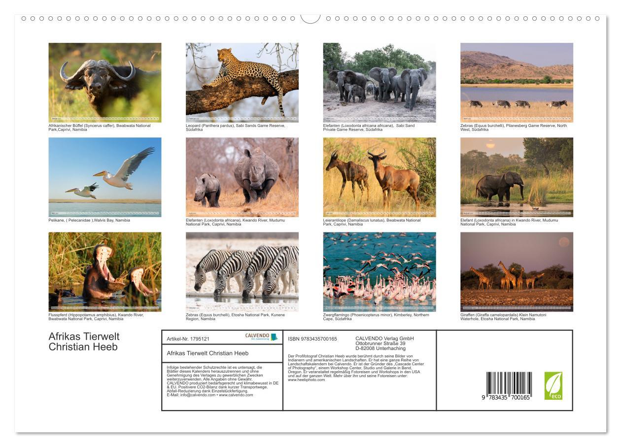 Afrikas Tierwelt Christian Heeb (hochwertiger Premium Wandkalender 2025 DIN A2 quer), Kunstdruck in Hochglanz