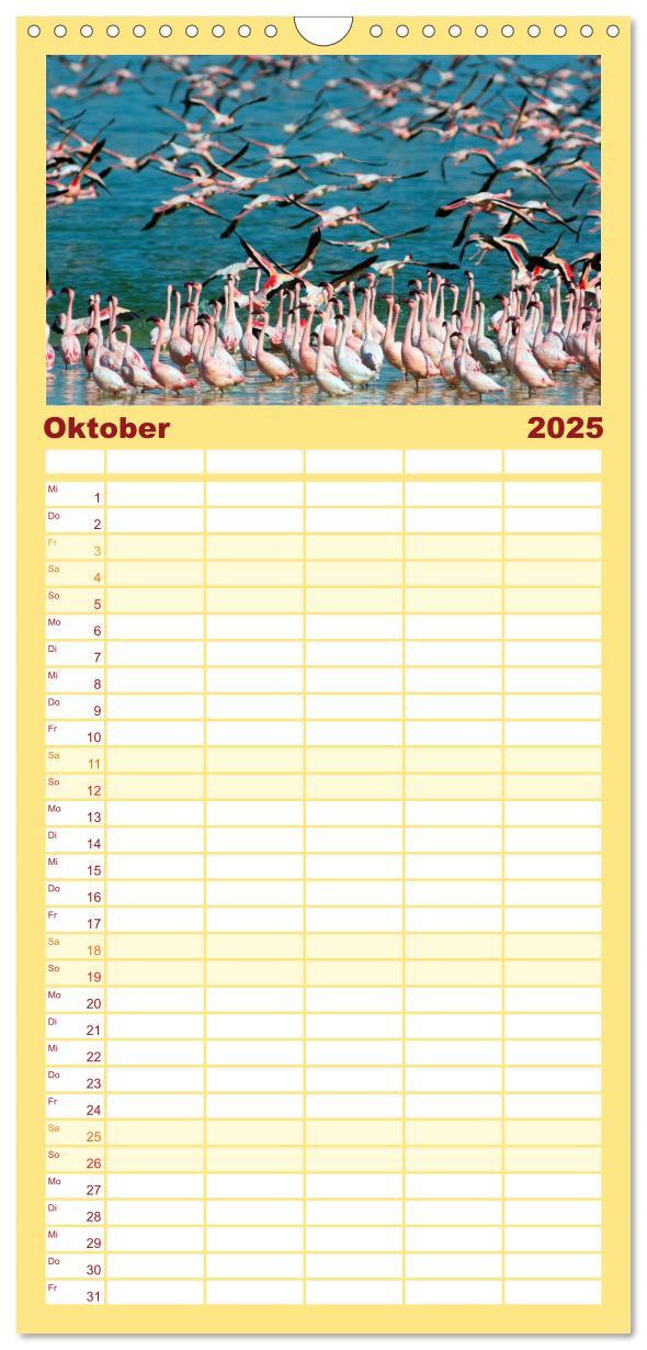 Familienplaner 2025 - Südafrika Christian Heeb mit 5 Spalten (Wandkalender, 21 x 45 cm) CALVENDO