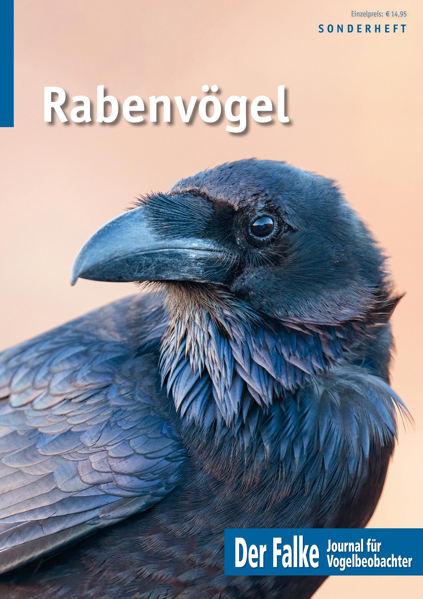 Rabenvögel