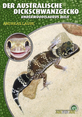 Der Australische Dickschwanzgecko