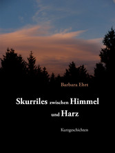 Skurriles zwischen Himmel und Harz