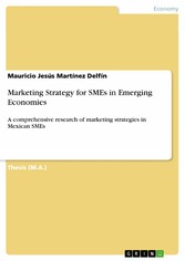 Marketing Strategy for SMEs in Emerging Economies