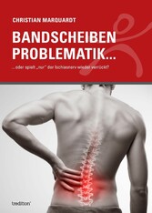 Bandscheiben Problematik