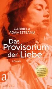 Das Provisorium der Liebe