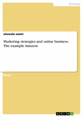 Marketing strategies and online business. The example Amazon