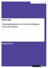 Trainingsleitfaden zur Stressbewältigung nach Gert Kaluza