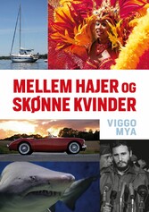 Mellem hajer og skønne kvinder