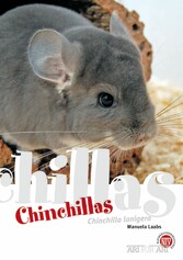 Chinchillas