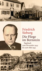 Die Fliege im Bernstein