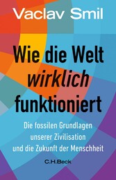 Wie die Welt wirklich funktioniert